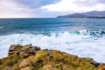 Huge amount of Seagulls feeding at the coast of Maghery in County Donegal during the storm- Ireland