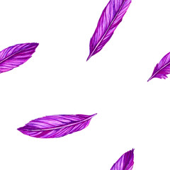 Set of purple feathers on an isolated white background. Feathers are drawn by hand with markers and inserts. Bright and summer illustration