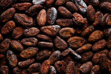 Cacao beans on plate closeup