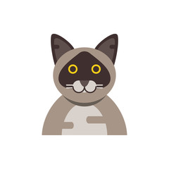 Cute light brown cat cartoon vector design