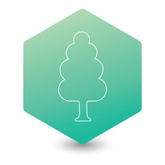 Deciduous forest icon