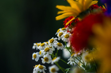 a bouquet of bright spring flowers of various types