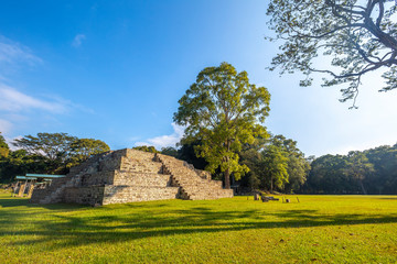 A Mayan pyramid in The Copan Ruins temples. Honduras