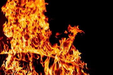 Fire on a dark background. Background from fire. Fire close up. Background for designers.Wood fire...