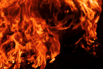 Fire on a dark background. Background from fire. Fire close up. Background for designers.Wood fire...