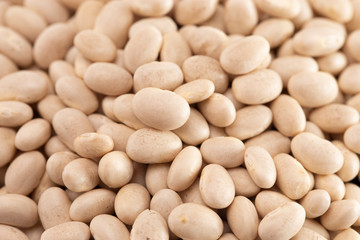 Background of Dry Navy Beans