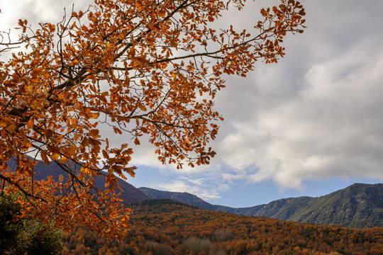 Brown autumn mountain landscape on a cloudy sky