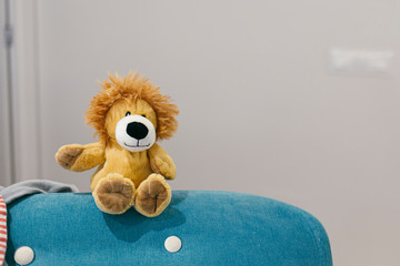 teddy bear lion sitting on a green sofa  on a background