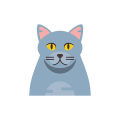 Cute grey cat cartoon vector design