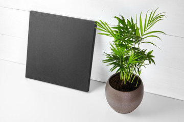 A black cotton canvas and green plant in flower pot on white wooden background. Stretched clean canvas on table. Mock up, front view