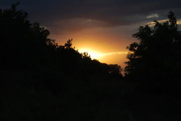 Beautiful sunset in the forest, silhouette of trees, and big yellow orange sun on the sky