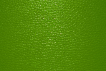 ForestGreen leather texture, leather material and background