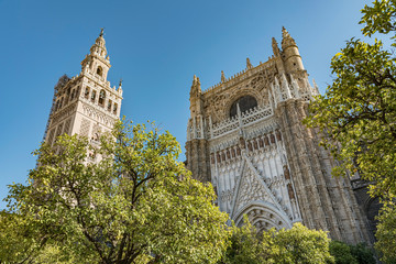 Obraz premium Seville Cathedral viewed from the Triumph Square, Spain. Gorgeous low angle view surrounded with trees