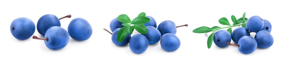 Blackthorn or Sloe berries with leaves isolated on white background. Prunus spinosa. Set or collection