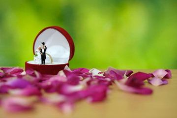 Miniature photography - outdoor wedding / garden wedding ceremony concept, bride and groom walking...