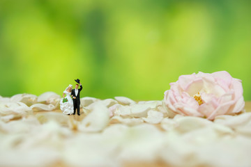 Miniature photography - outdoor wedding / garden wedding ceremony concept, bride and groom walking...