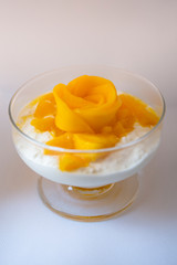 Fototapeta na wymiar Sweet tapioca pudding and fresh mango