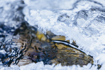 Ice texture, interesting frozen lake patterns, naturally created forms. Frozen river's water in the winter in mount Vitosha, near Sofia, Bulgaria. Ice Age climate changes.