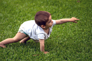 baby boy crawls on the lawn of the garden