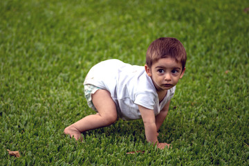 baby boy crawls on the lawn of the garden