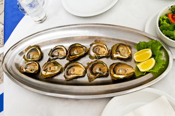 Oysters plate