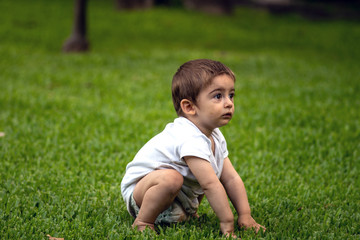 baby boy crawls on the lawn of the garden