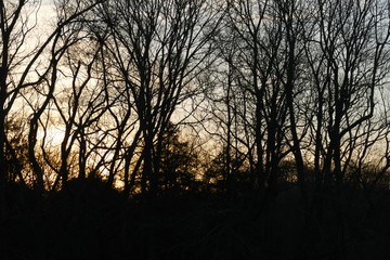 January sunset