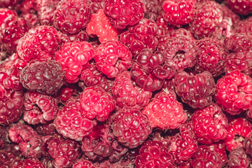 Fresh and sweet raspberries fruit background.