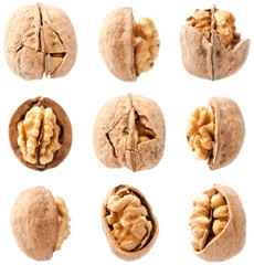 Crack open nuts on isolated background