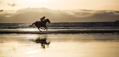 Silhouette of race horse and jockey galloping on the beach, west coast of county Kerry, Ireland