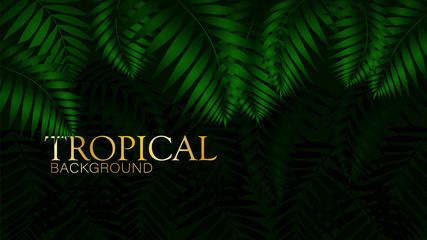 Fototapeta na wymiar Dark tropical pattern with exotic plants. Seamless vector tropical pattern with green phoenix palm leaves.