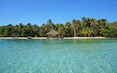 Tropical coastline with coconut palm trees and a palapa over water, Bocas del Toro, Caribbean sea, Panama, Central America