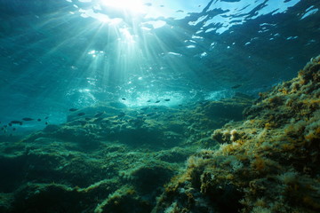 Underwater seascape in the Mediterranean sea, sunlight through water surface and rock with fish,...