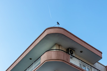 a bottom up architectural shoot to corner of an old building -  there is a crow at roof