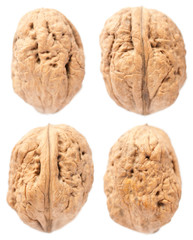 Walnuts on isolated white background