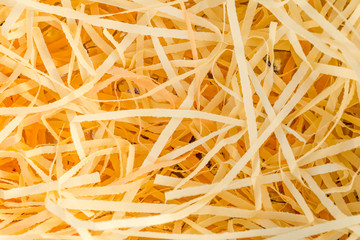 abstraction background of yellow torn paper ribbons