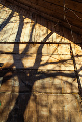 Yellow sunset tree shadow on an old wooden country house. 