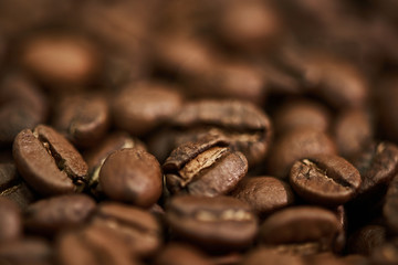 Freshly roasted coffee beans. Close-up.