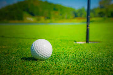 Golf ball on the green.