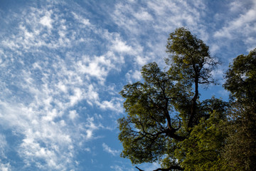 Obraz premium El color del sur (Cielo)