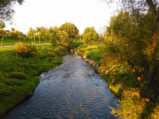 Fototapeta premium Stream flowing in green tree park