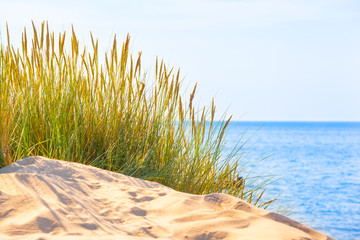 Bright Tranquil Place at Sea / Idyllic nature on sunny day at white sandy beach with dune grass and...
