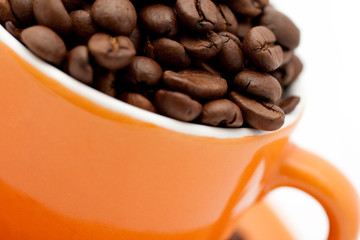 Roasted coffee beans in an orange cup