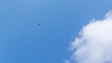 Naklejka na ściany i meble Tiny Drone High In The Sky