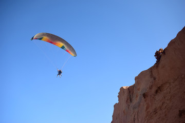 People paragliding flying over the beach