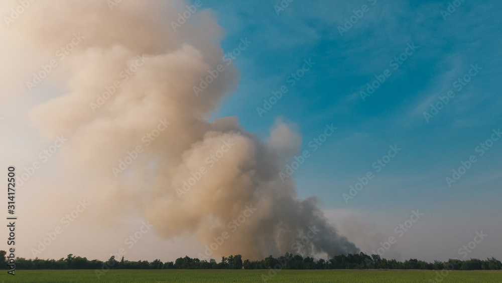 Wall mural Burning Forest ,Fires, grasslands and forests.