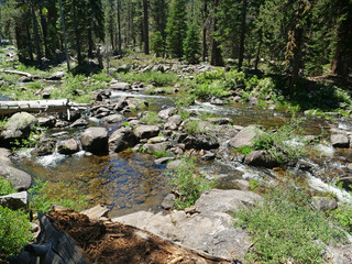 Fototapeta na wymiar Peaceful water brook in the forest.