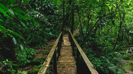 Beautiful wooden bridge in Panacam green forest Honduras