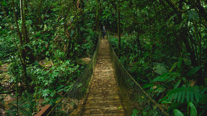 Beautiful wooden bridge in Panacam green forest Honduras