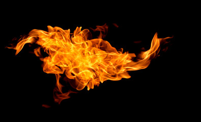 Fire flames on a black background